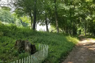 Wes Mountain Trail, Mc Henry, MD 21541 - Photo 1