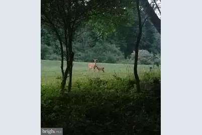 Wes Mountain Trail, Mc Henry, MD 21541 - Photo 24
