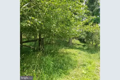 Wes Mountain Trail, Mc Henry, MD 21541 - Photo 16