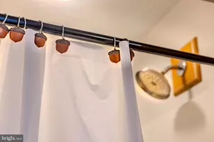 220 Woodlands Hill Ln, Oakland, MD 21550 - Photo 48