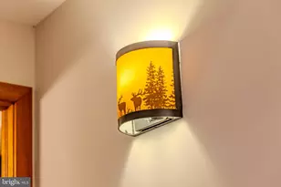 220 Woodlands Hill Ln, Oakland, MD 21550 - Photo 60