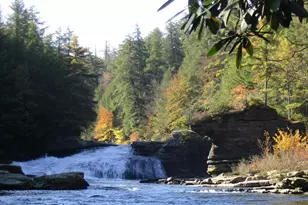 79 Marsh Hill Rd, Mc Henry, MD 21541 - Photo 46