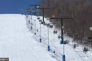 79 Marsh Hill Rd, Mc Henry, MD 21541 - Photo 38