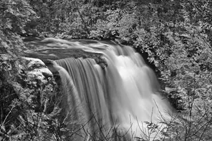 79 Marsh Hill Rd, Mc Henry, MD 21541 - Photo 42