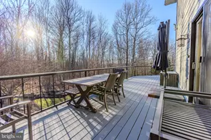 444 Woodlands Hill Ln, Oakland, MD 21550 - Photo 46