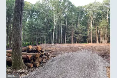 62 Wild Turkey Court, Oakland, MD 21550 - Photo 26