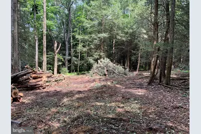 62 Wild Turkey Court, Oakland, MD 21550 - Photo 22