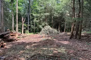 62 Wild Turkey Ct, Oakland, MD 21550 - Photo 22