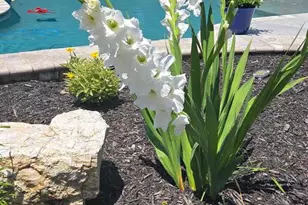 5330 Long Corner Rd, White Hall, MD 21161 - Photo 32