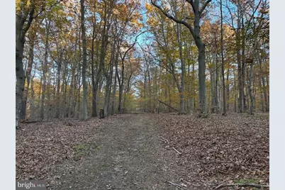 3515 Clayton Road, Joppa, MD 21085 - Photo 28