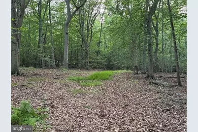 3515 Clayton Road, Joppa, MD 21085 - Photo 6