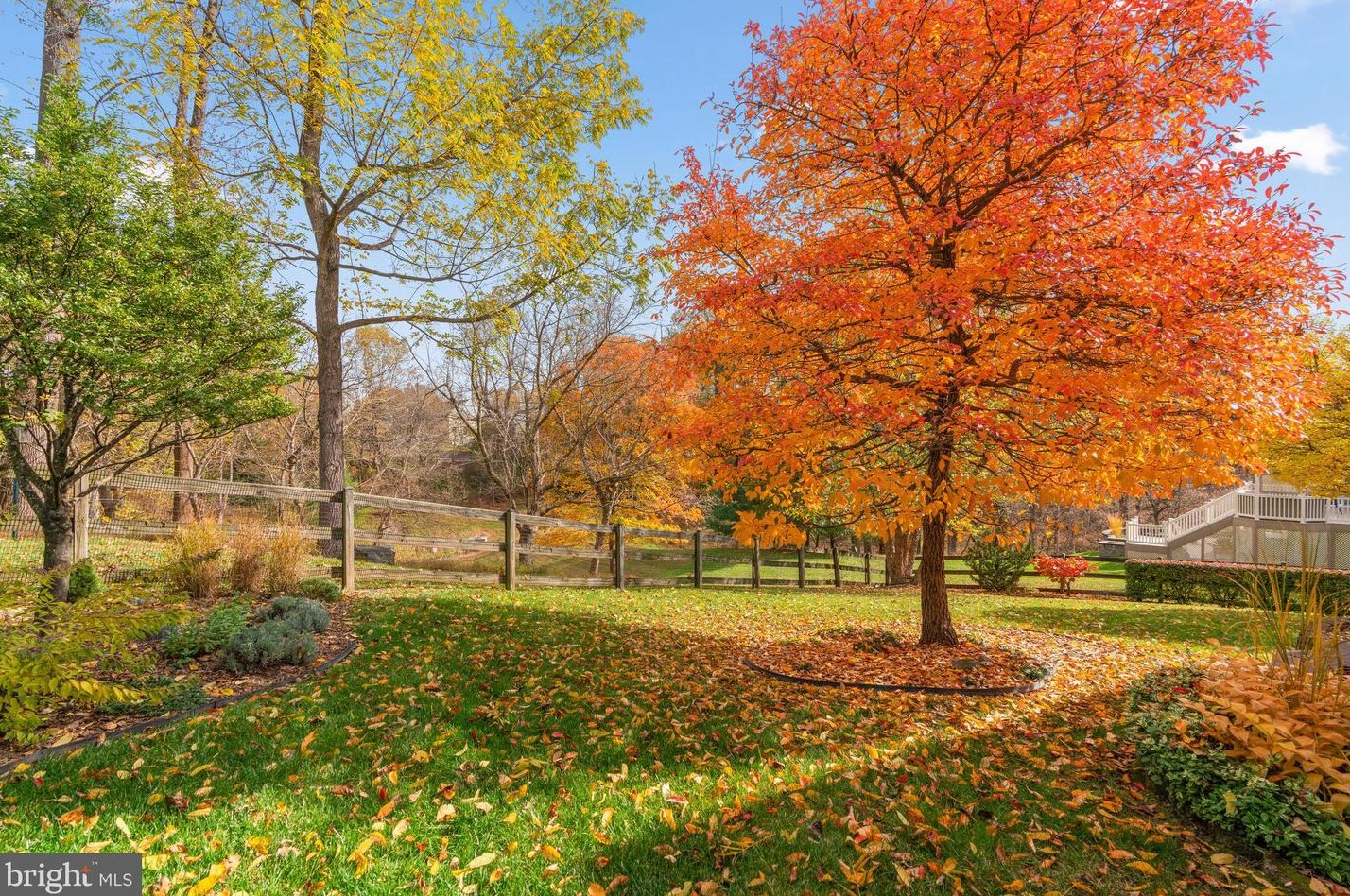 4653 Tall Maple Ct, Ellicott, MD 21043-6784