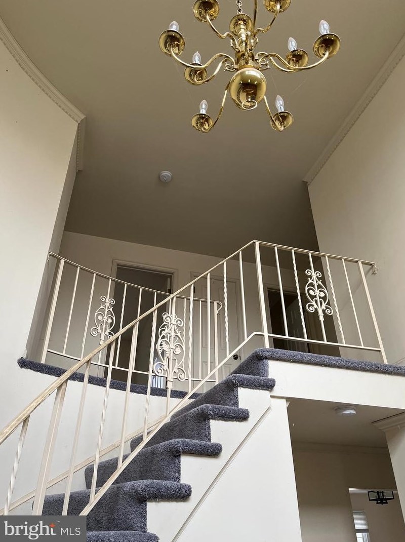 10190 Maxine St, Ellicott, MD 21042-6317