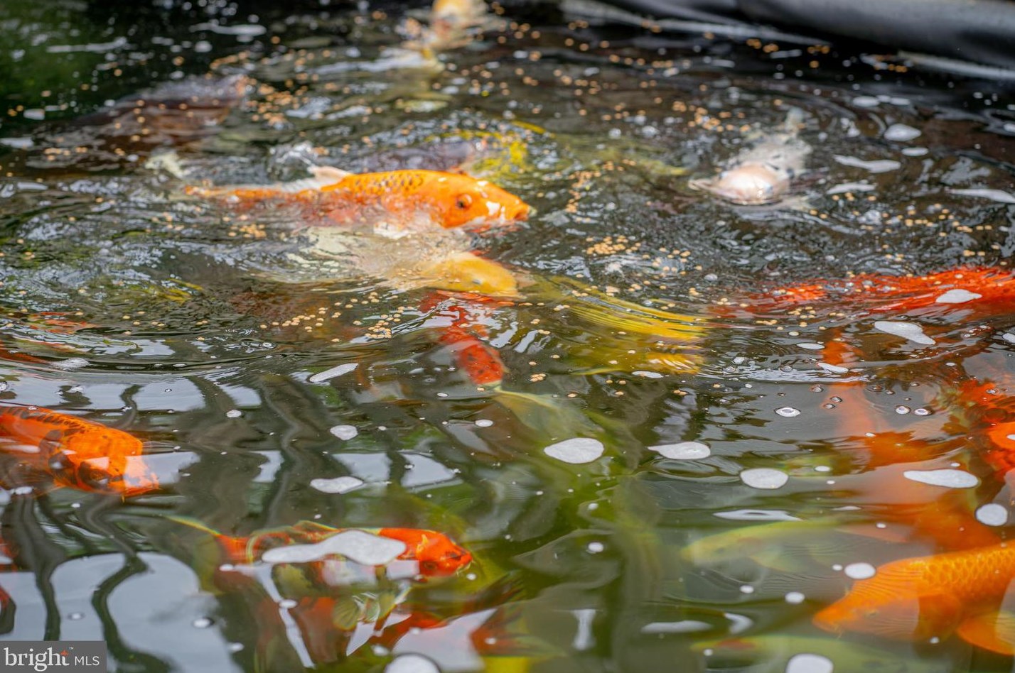 6104 Hunt Club Rd, Baltimore MD  21075-5518 exterior