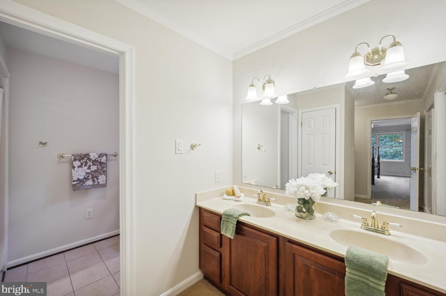 2425 Wood Stream Ct, Ellicott MD exterior