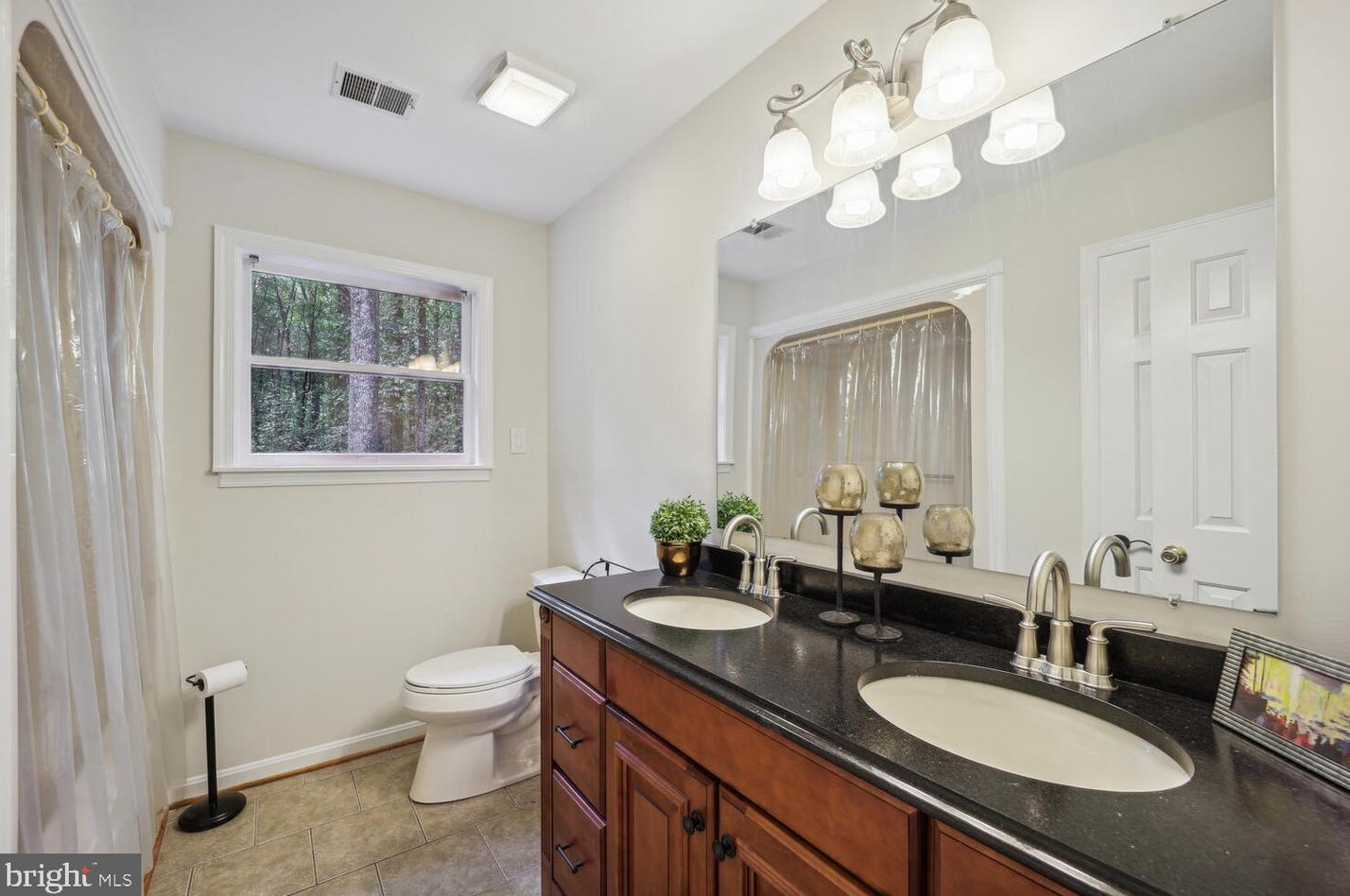 2425 Wood Stream Ct, Ellicott MD exterior