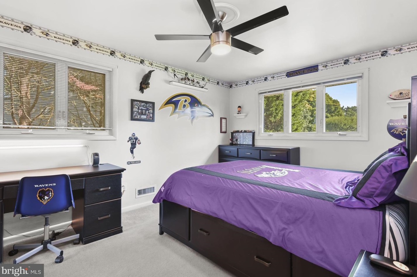 9921 Carrigan Dr, Ellicott MD 21042-3644 exterior