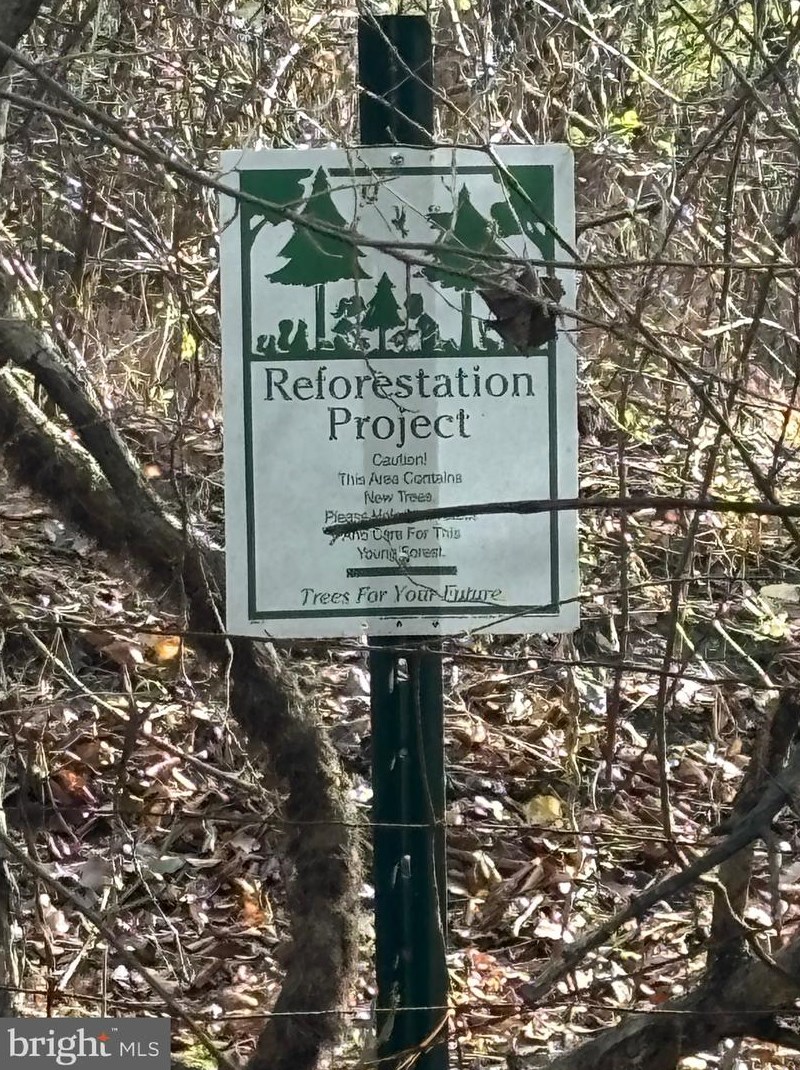 8620 Quaker Brothers Dr, Ellicott MD  21043-5459 exterior