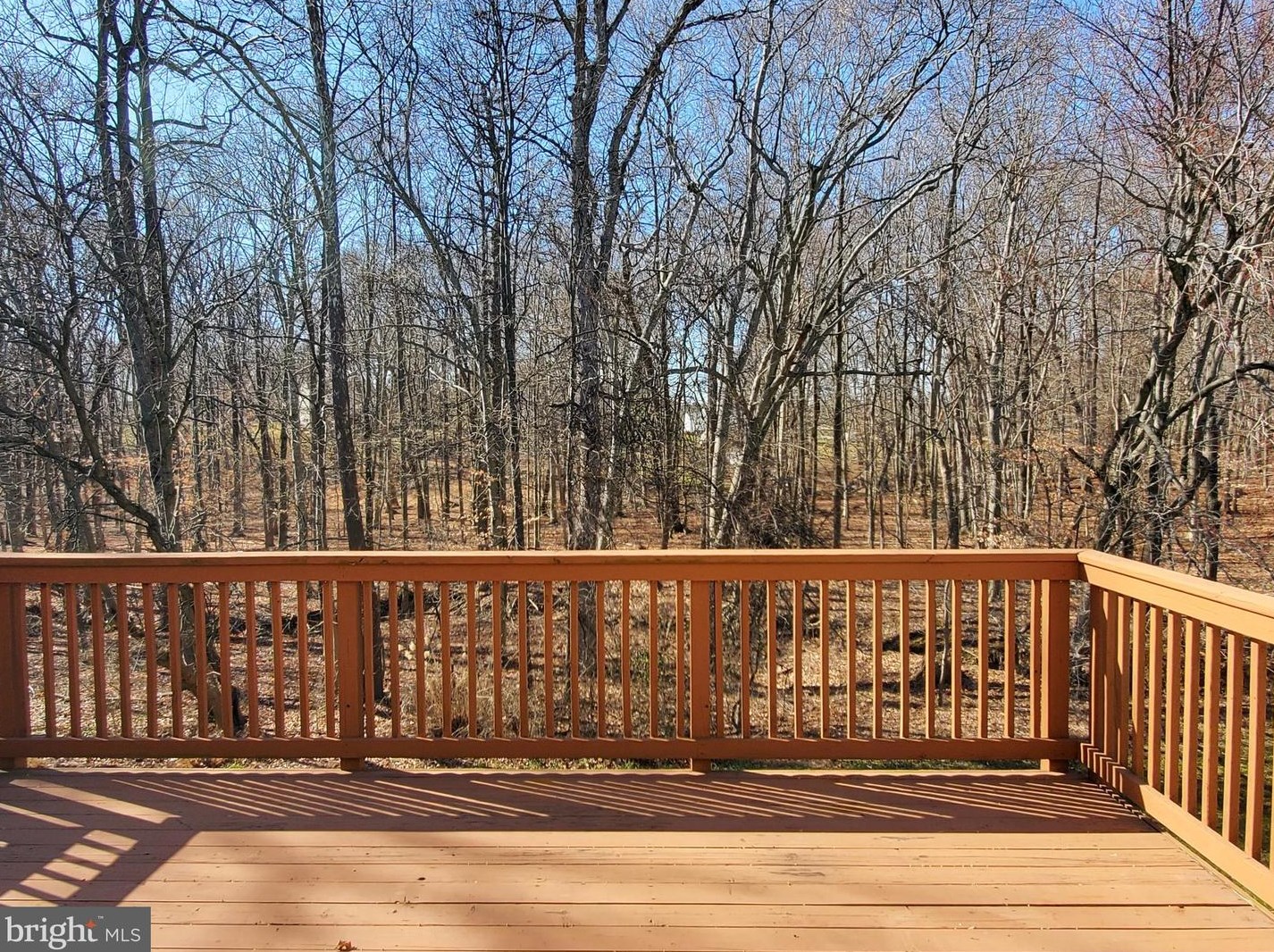 7942 Brightlight Pl, Ellicott MD 21043-7962 exterior