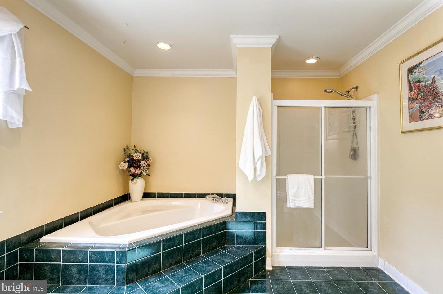 2800 Deer Trail Ct, Ellicott MD 21042-7817 exterior