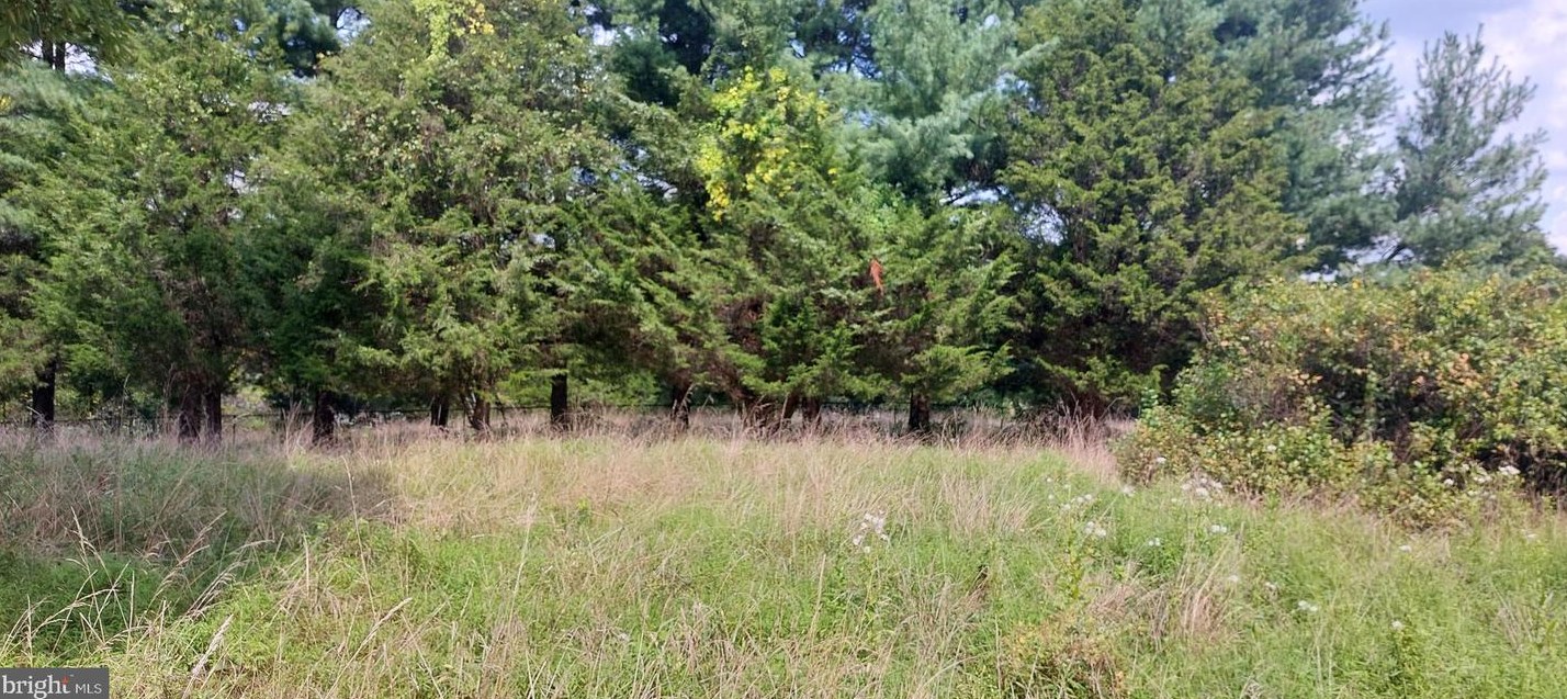 8507 Old Frederick Rd, Ellicott MD 21043-1925 exterior