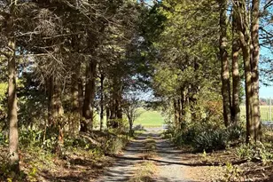 24543 Chestertown Rd, Chestertown, MD 21620 - Photo 38