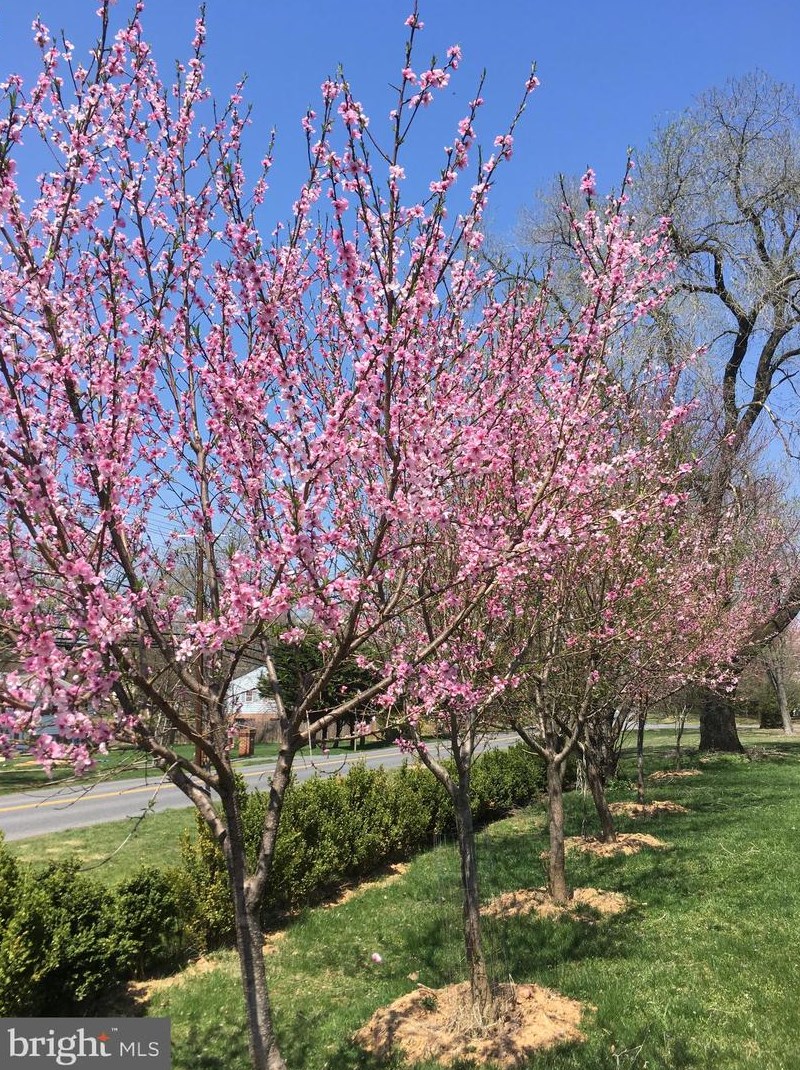 15701 Jones Ln, Gaithersburg, MD 20878-3562