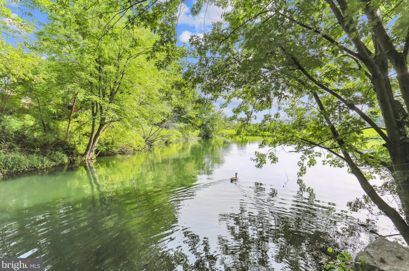 9764 Whetstone Dr, Gaithersburg MD 20886-3120 exterior