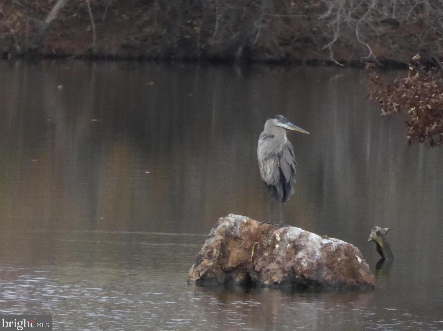 9806 Walker House Rd, Gaithersburg MD 20886-0505 exterior