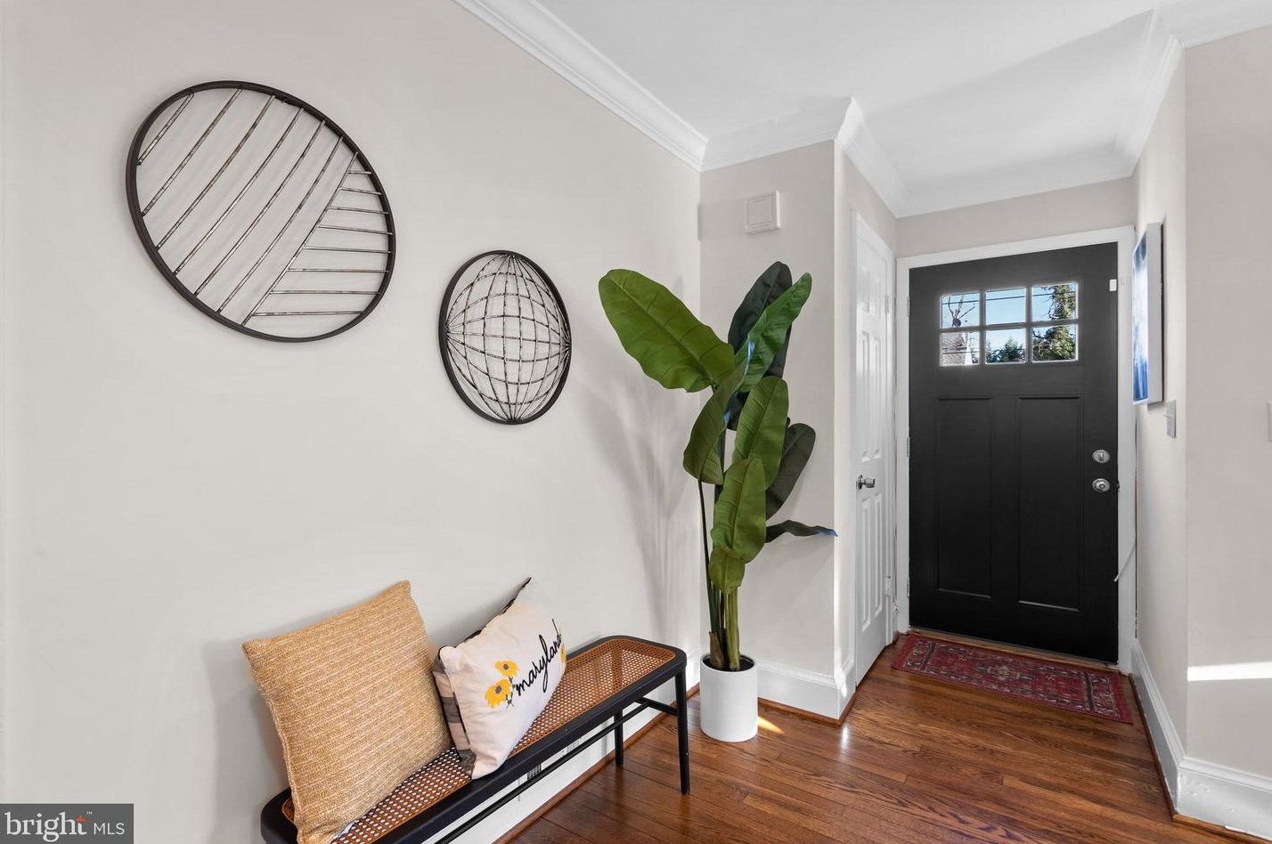 10008 Rogart Rd, Silver Spring, MD 20901