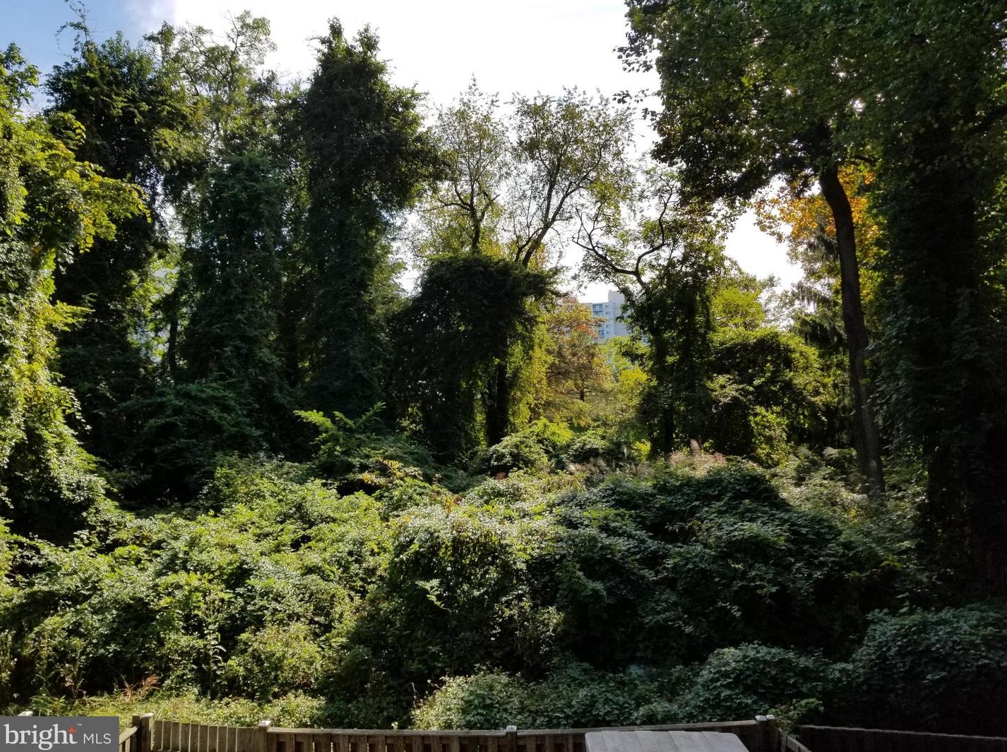 11321 Baroque Rd, Silver Spring, MD 20901