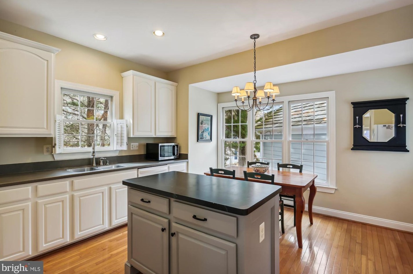 119 Thurgood St, Gaithersburg MD 20878-5746 exterior