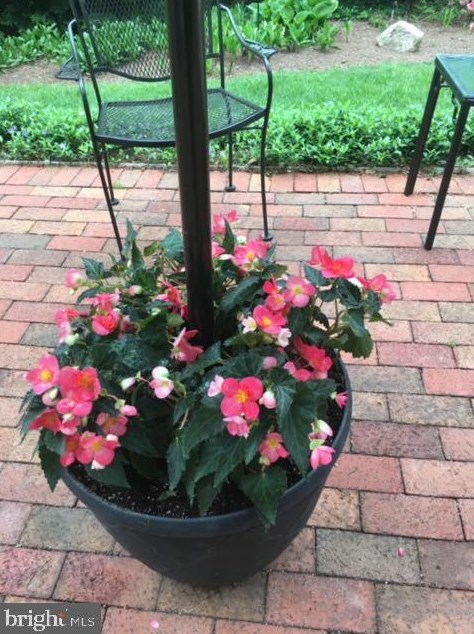 9536 Whetstone Dr, Gaithersburg MD  20886-3110 exterior