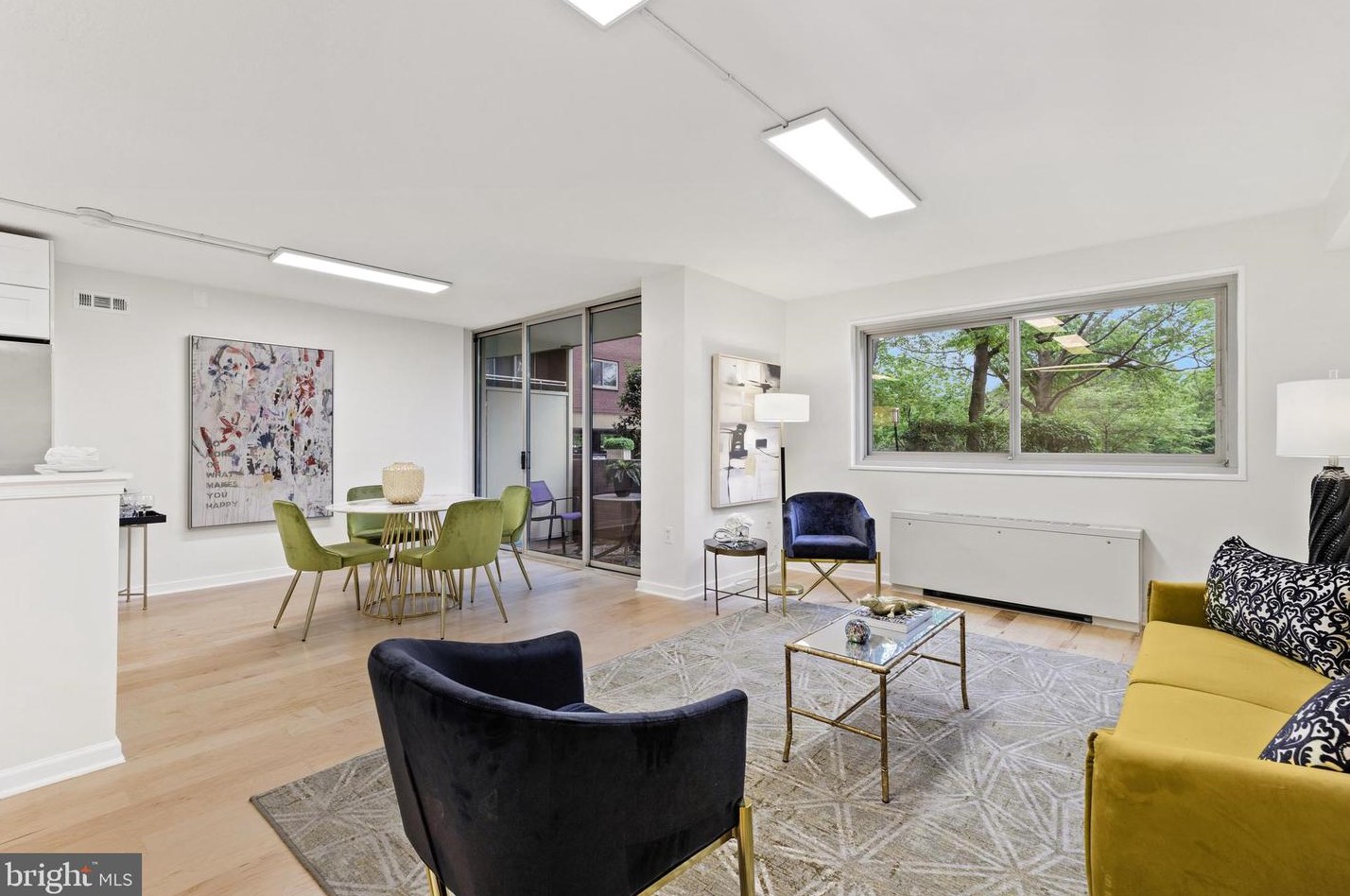 7333 New Hampshire Ave #102, Silver Spring, MD 20912