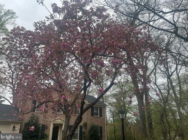 18929 Diary Rd, Gaithersburg MD 20886-3136 exterior