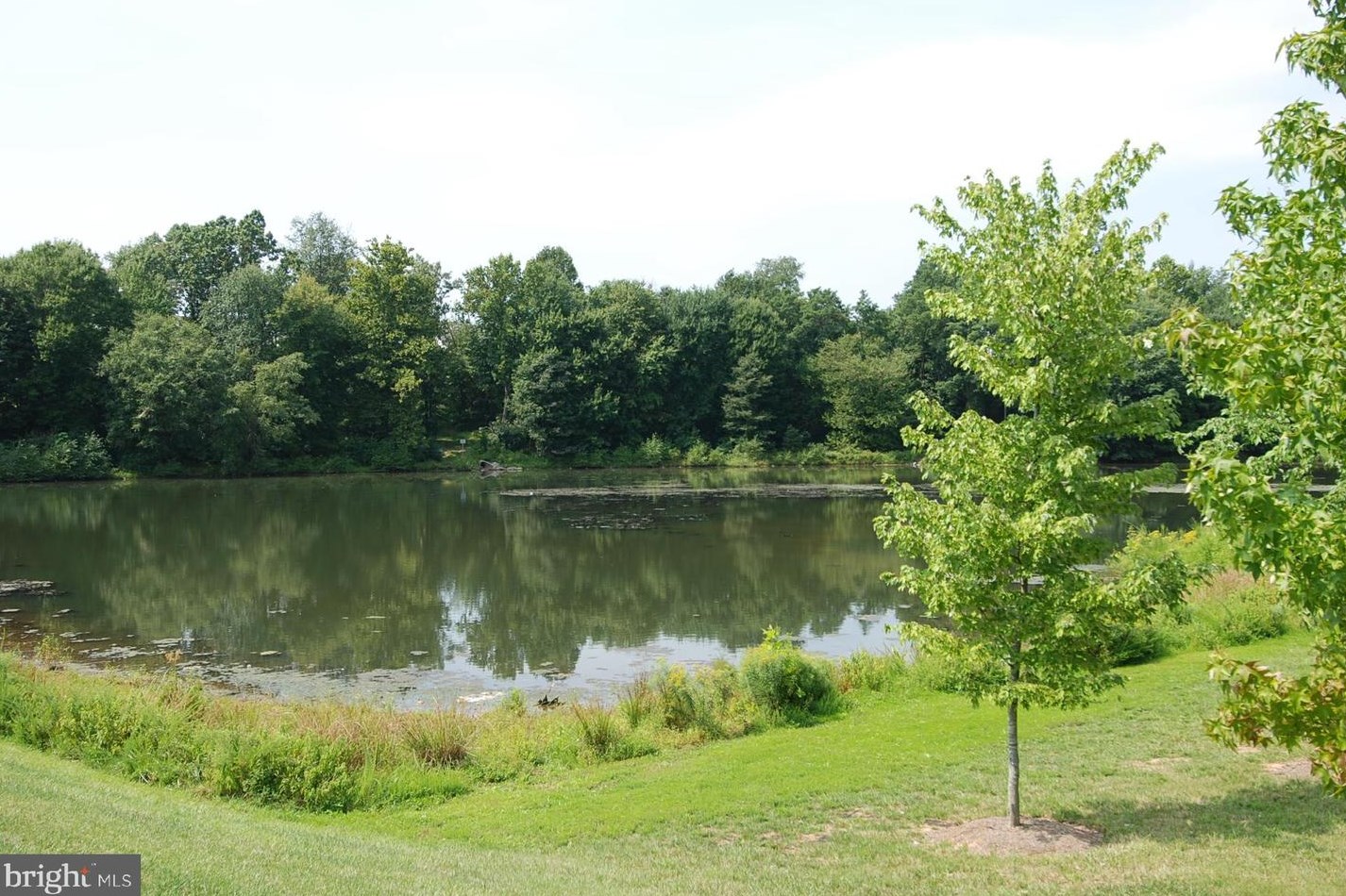 135 Treehaven St, Gaithersburg MD  20878-5748 exterior