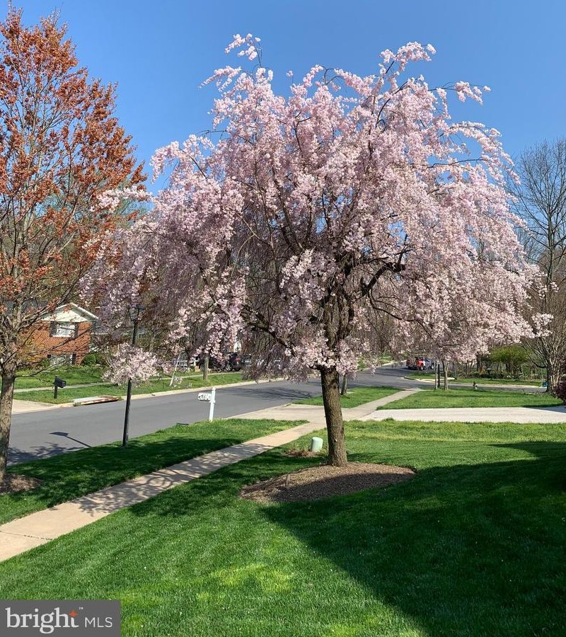 1708 Ladd St, Silver Spring MD 20902-3521 exterior