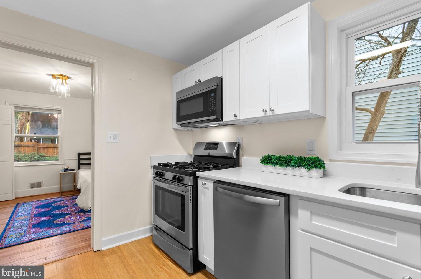 10217 Capitol View Ave, Silver Spring MD 20910-1033 exterior