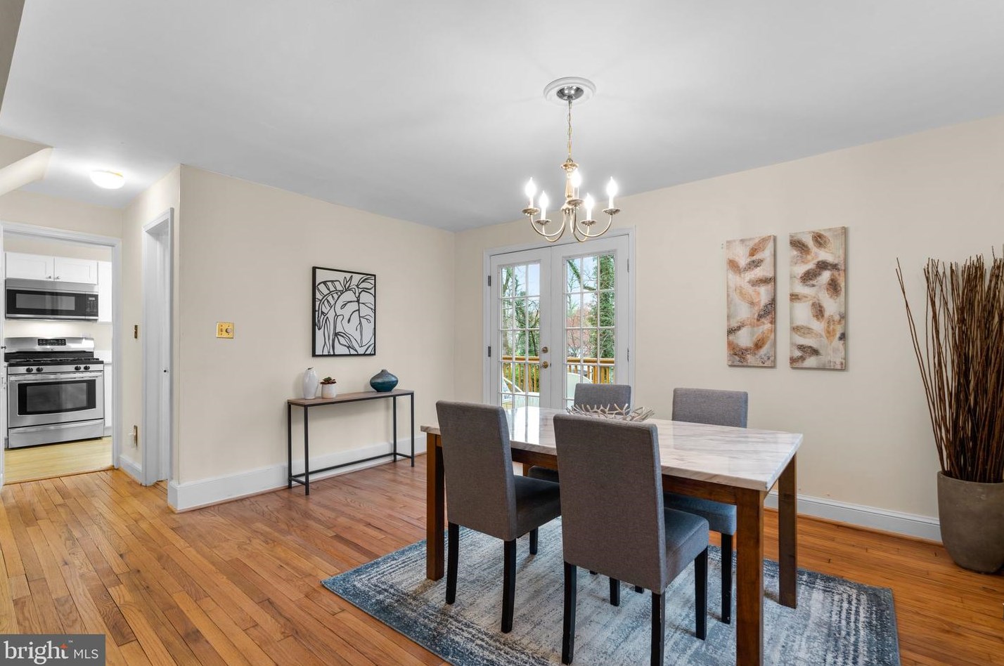 10217 Capitol View Ave, Silver Spring MD 20910-1033 exterior