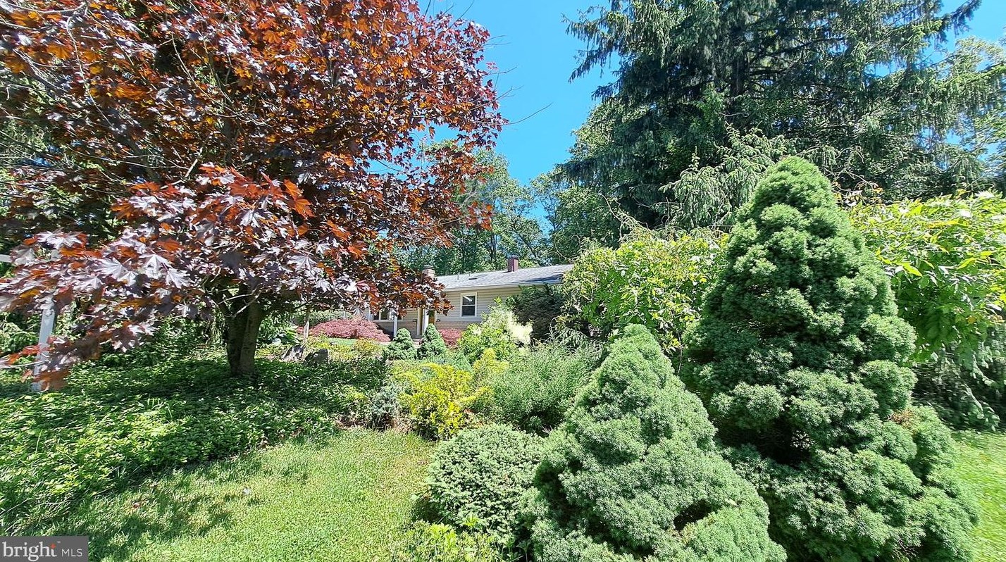 13101 Collingwood Terrace, Silver Spring, MD 20904