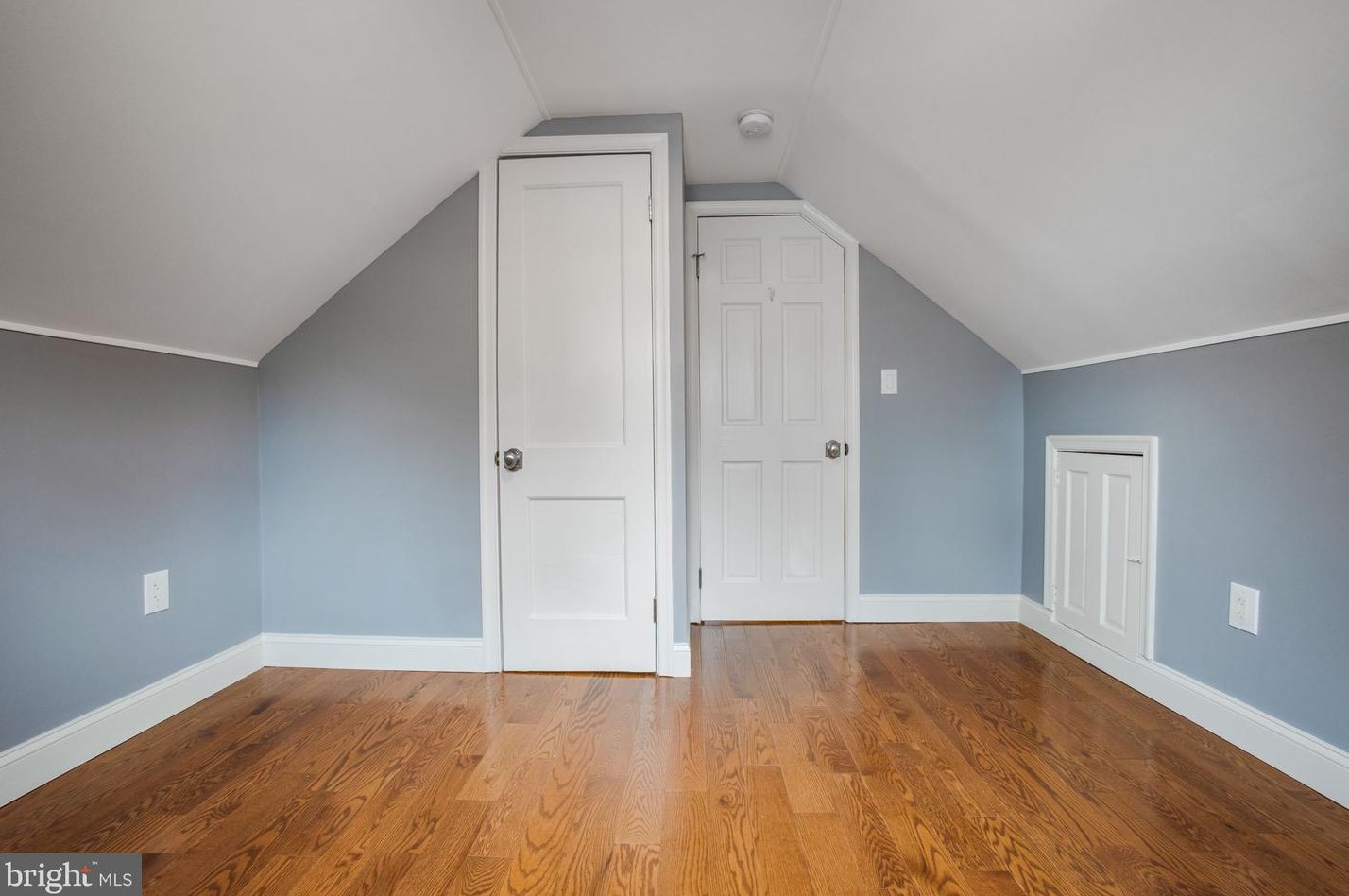 11613 College View Dr, Silver Spring MD 20902-2430 exterior