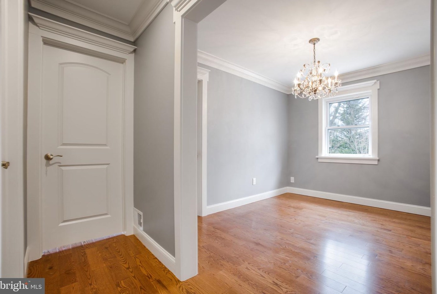 11613 College View Dr, Silver Spring MD 20902-2430 exterior