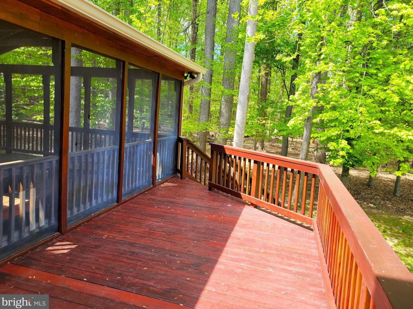 2807 Regina Dr, Silver Spring MD 20906-5354 exterior