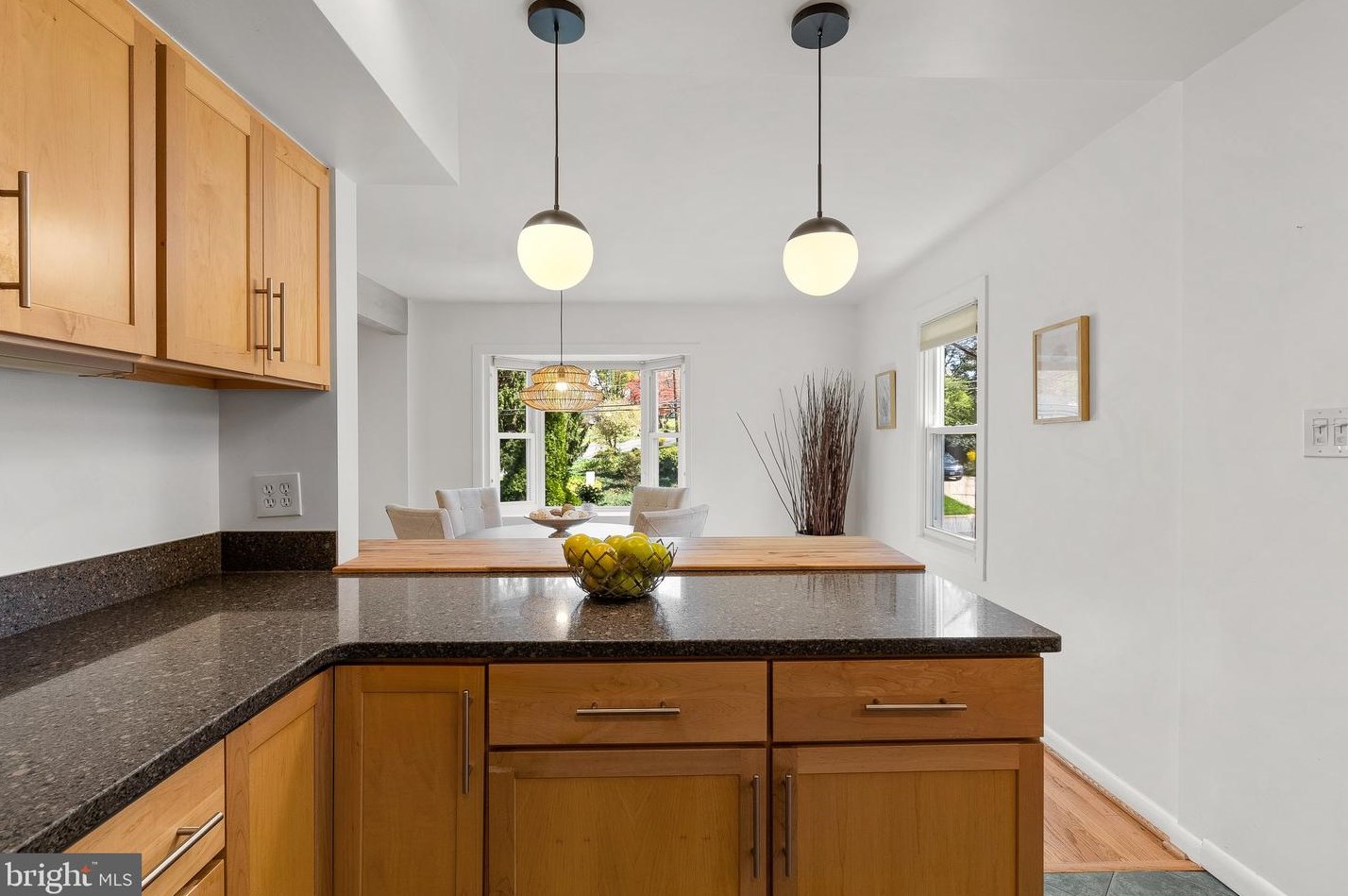 505 Ellsworth Dr, Silver Spring MD  20910-4224 exterior