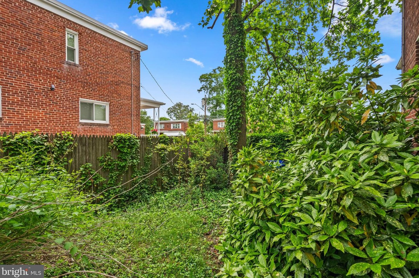 8518 11th Ave, Silver Spring MD 20903-3204 exterior