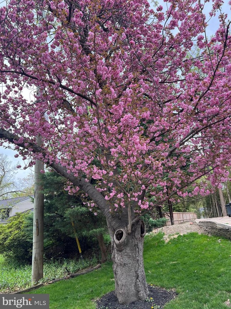 3113 Verona Ct, Silver Spring MD exterior