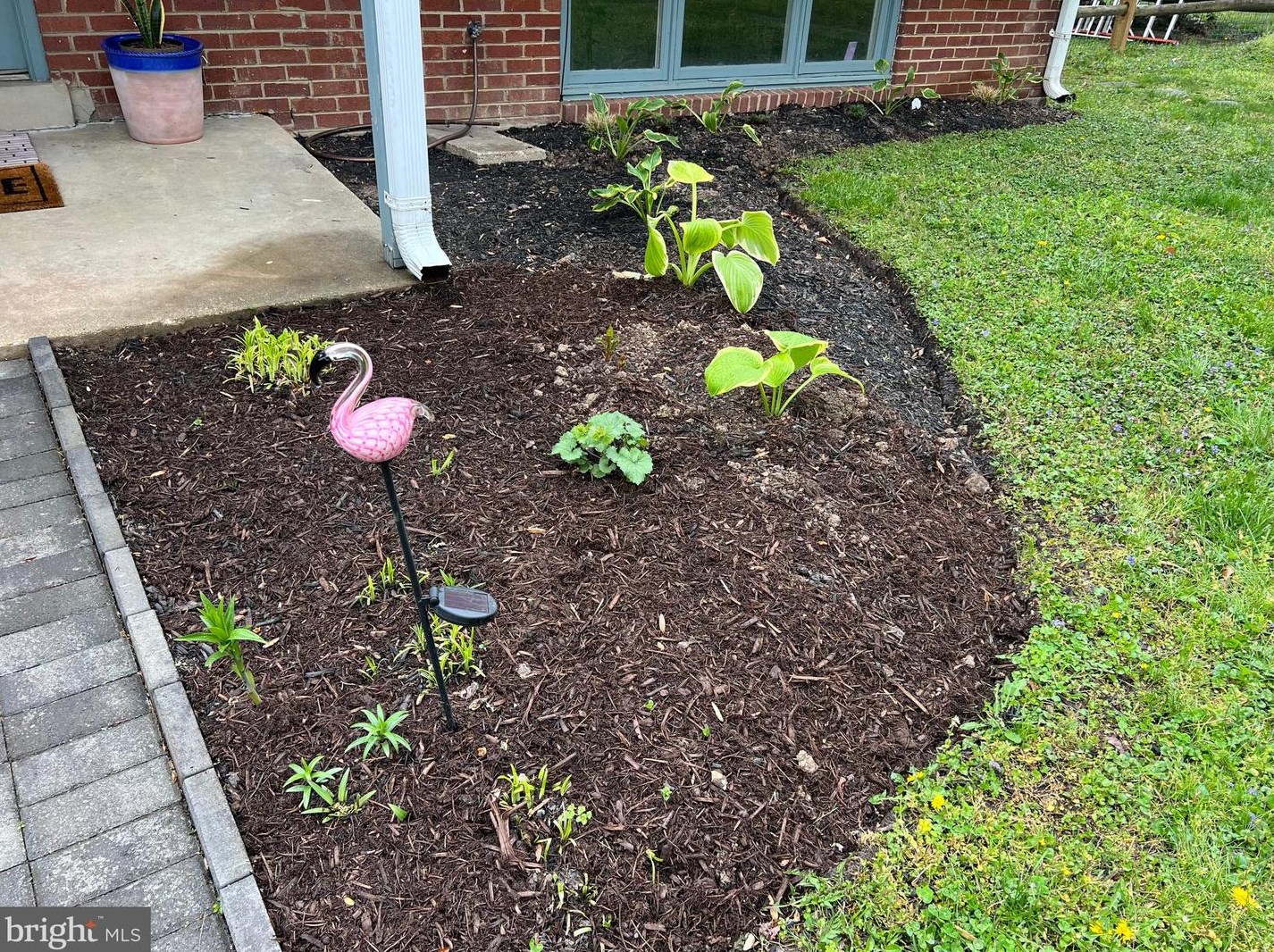 3113 Verona Ct, Silver Spring MD exterior