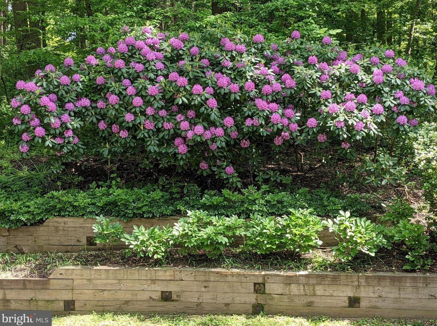 1809 Gamewell Rd, Silver Spring MD 20905-5117 exterior