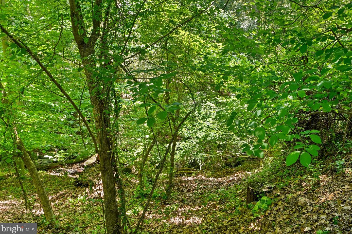 252 Whitmoor Ter, Silver Spring MD 20901-1523 exterior