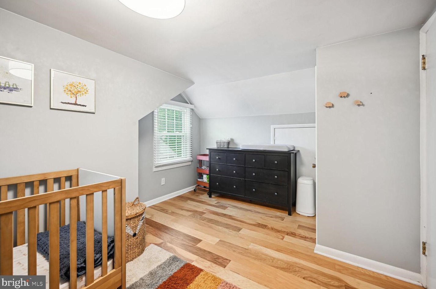 12613 Farnell Dr, Silver Spring MD 20906-3873 exterior